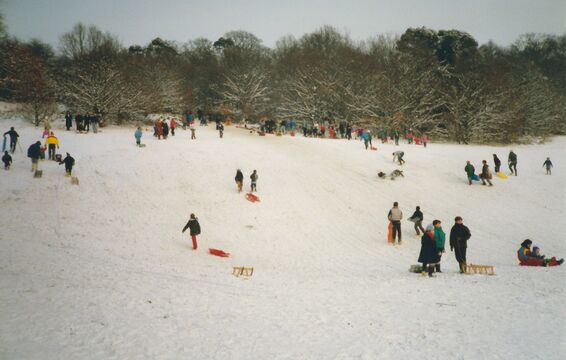 #caption-234 Feb 1991