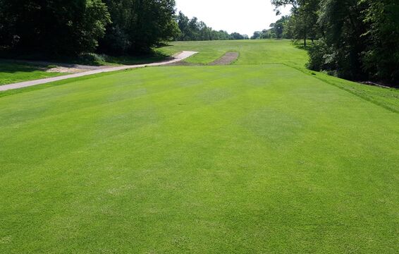 #caption-238 New 15th tee